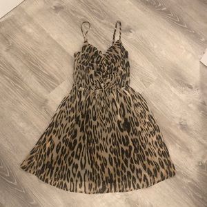 Cheetah Print Dress